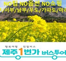 이번주 마지막할인  제주도버스투어 적극추천