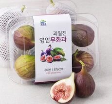 가성비 끝판왕 무화과 실시간 인기상품