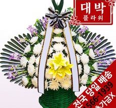 방송인기상품 화분조화배달 가성비 상품